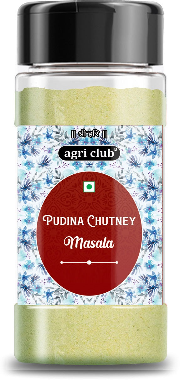 Pudina Chutney Masala Premium Quality 200 GM