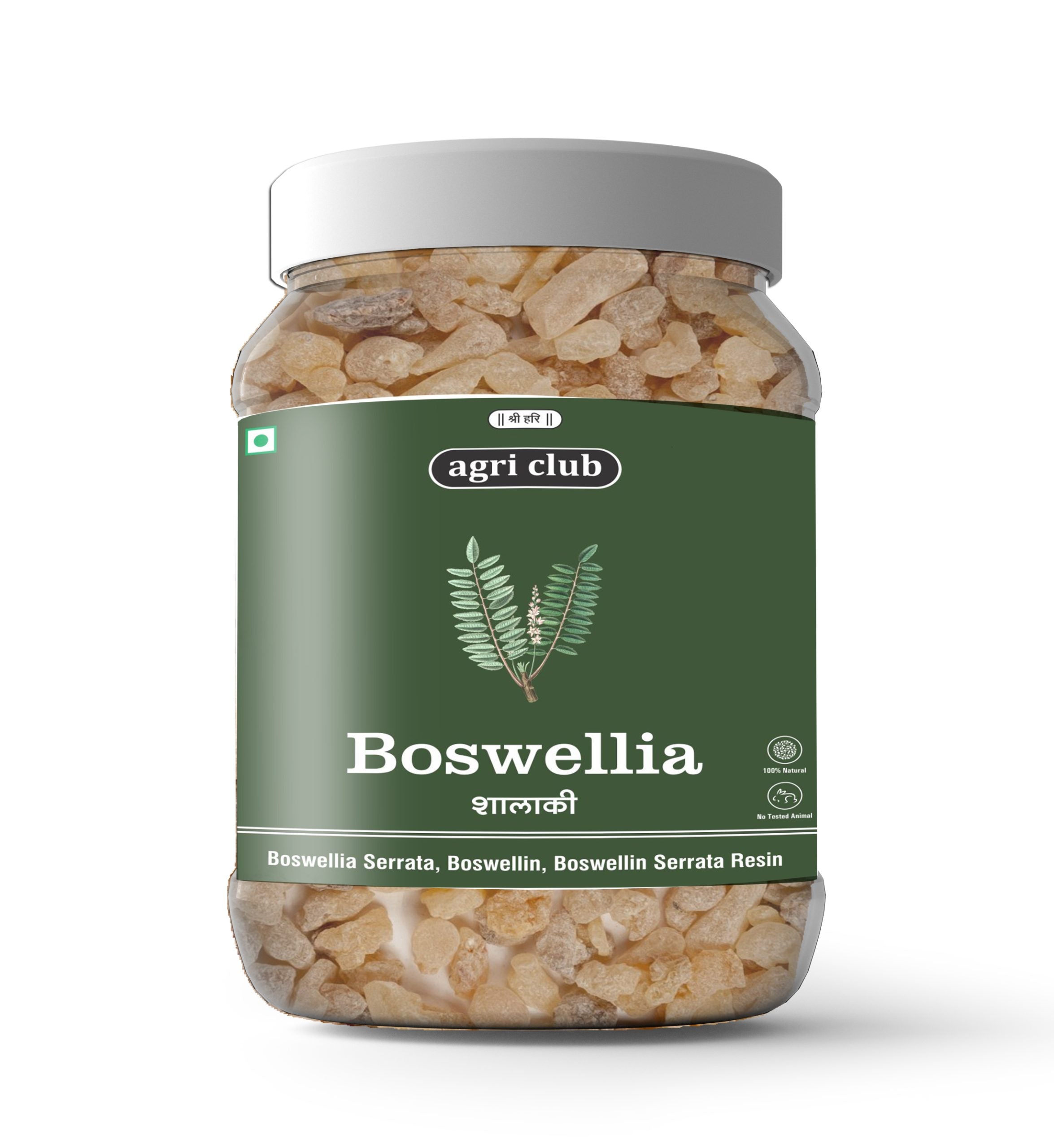 Boswellia Serrata Gum Premium Quality 200 GM