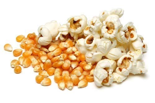 Popcorn Kernals Seed 100% Premium Quality