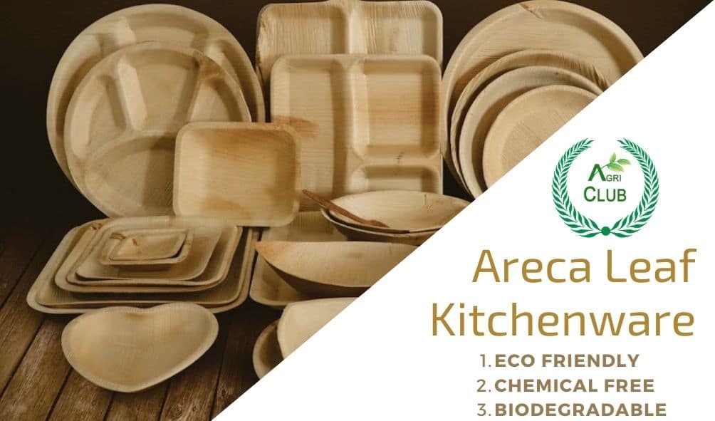 Areca Leaves Round Disposal Plates 8 inch ( Pack of 25)