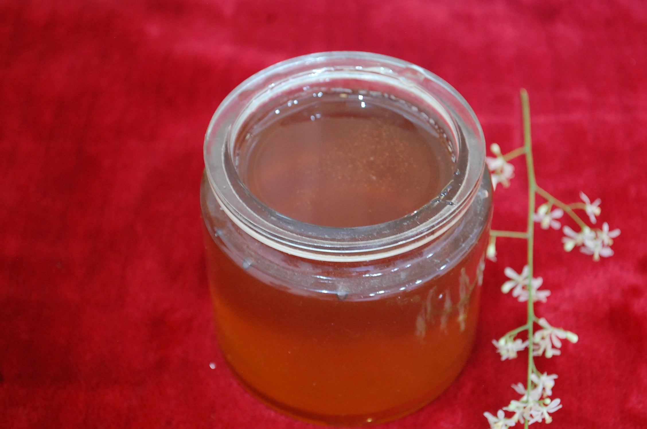 Neem Honey 100% Pure 500 gm